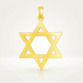 14k Yellow Gold Polished Star of David Pendant by Avera Group