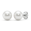 Freshwater Pearl Earrings in Sterling Silver by Avera Group