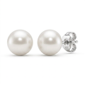 Freshwater Pearl Earrings in Sterling Silver by Avera Group