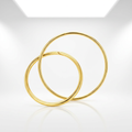 Endless Hoop Style Earrings in 14K Yellow Gold by Avera Group