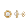 14k Yellow Gold Flower Stud Earrings with Pearls by Avera Group