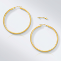 10k Yellow Gold Polished Hoop Earrings (30mm) by Avera Group