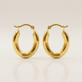 14k Yellow Gold Polished Oval Hoop Earrings by Avera Group