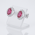 Chrisalee 3.3ct CZ Classic Stud Earrings in Pink by Avera Group