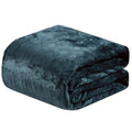 Louvre Blanket-Teal-King by DailySale