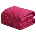 Louvre Embossed Microplush Blanket - Assorted Colors by DailySale