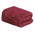 Louvre Throw Flannel Fleece Blanket by DailySale