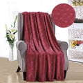 Louvre Throw Flannel Fleece Blanket by DailySale
