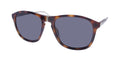 Lozza Sl4245 Pocket Cooper 1 Sunglasses by ModaFrames