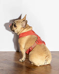 Luxe Harness - Poppy by Pawmigo