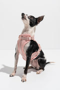 Luxe Harness - Hibiscus by Pawmigo