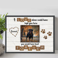 Pet Memorial Sign If Love Alone by Tailored Canvases