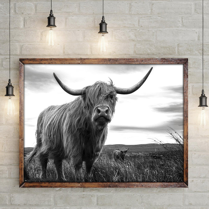 Highland Cow Black And White Portrait Canvas Wall Art by Tailored Canvases