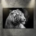 Black And White Smoking Tiger Canvas Wall Art by Tailored Canvases