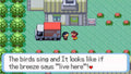 Pokemon Quartz GBA ROM Hack Video Game Custom Gameboy Advance by VintageVideoGameStore