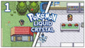Pokemon Liquid Crystal GBA ROM Hack Video Game Custom Gameboy Advance by VintageVideoGameStore
