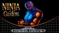 Ninja Gaiden Sega Genesis Mega Drive Video Game Cartridge 1992 by VintageVideoGameStore