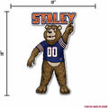 Chicago Bears Pennant Mascot Logo 18 Inch Soft Felt
