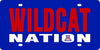 University of Arizona Wildcats Premium Laser Cut Tag License Plate, Nation, Mirrored Acrylic Inlaid, 6x12 Inch