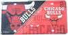 Chicago Bulls Metal Auto Tag License Plate, Split Design, 6x12 Inch