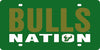 University of South Florida Bulls USF Premium Laser Cut Tag License Plate, Nation, Mirrored Acrylic Inlaid, 6x12 Inch