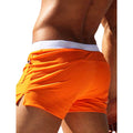 Men's Beach Shorts Swimwear by DailySale