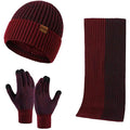 Men's Scarf and Beanie Hat Themal Gloves Set by DailySale
