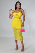 Meshy Days Ruched High Waisted Skirt Set by Fasheabe