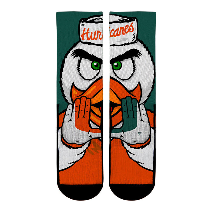 Miami Hurricanes - Sebastian the Ibis Mascot by Rock 'Em Socks