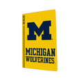 Michigan Wolverines PS5 VarsityWrapz by Varsity Gripz