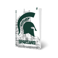 Michigan State PS5 VarsityWrapz by Varsity Gripz