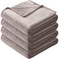 Microfiber Soft Fleece Blanket -Comfy for All Seasons by DailySale