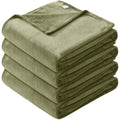 Microfiber Soft Fleece Blanket -Comfy for All Seasons by DailySale