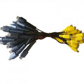 Mini DIN 10 Pin A/V cable with 1 female connector by Texas Depot