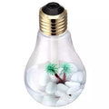 Mini USB Bulb Aromatherapy Diffuser with LED Lights by DailySale