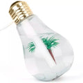 Mini USB Bulb Aromatherapy Diffuser with LED Lights by DailySale