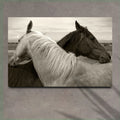 Monochrome Couple Horse Canvas Wall Art by Tailored Canvases