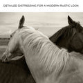 Monochrome Couple Horse Canvas Wall Art by Tailored Canvases