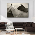 Monochrome Couple Horse Canvas Wall Art by Tailored Canvases