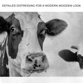 Monochrome Holstein Cows Canvas Wall Art by Tailored Canvases