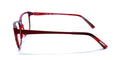 Morel Nomad 2938n Eyeglasses by ModaFrames