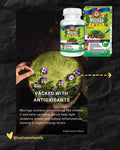 Moringa Daily Vitality Boost 60 Capsules STACK IT. SAVE MORE. STAY UP. by Adiva Naturals