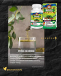 Moringa Daily Vitality Boost 60 Capsules STACK IT. SAVE MORE. STAY UP. by Adiva Naturals