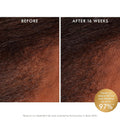 Moroccanoil Revitalizing Scalp Tonic Treatment 3.4 Oz by Nava Beauty