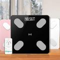 Mrosaa Digital Smart APP Electronic Weight Scale by DailySale