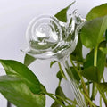 Mushroom Flower Watering Device by DailySale