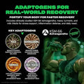 Mutant Big Greens, 30 Servings by PoorBoySupplements.com