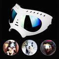 Namsan Dog Goggles-Sunglasses for Large Dogs by DailySale