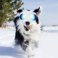 Namsan Dog Goggles-Sunglasses for Large Dogs by DailySale