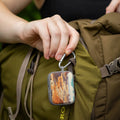 National Parks Petrified Forest HDX Apple Airpods Pro 1 & 2 Case Cover by Affinity Bands